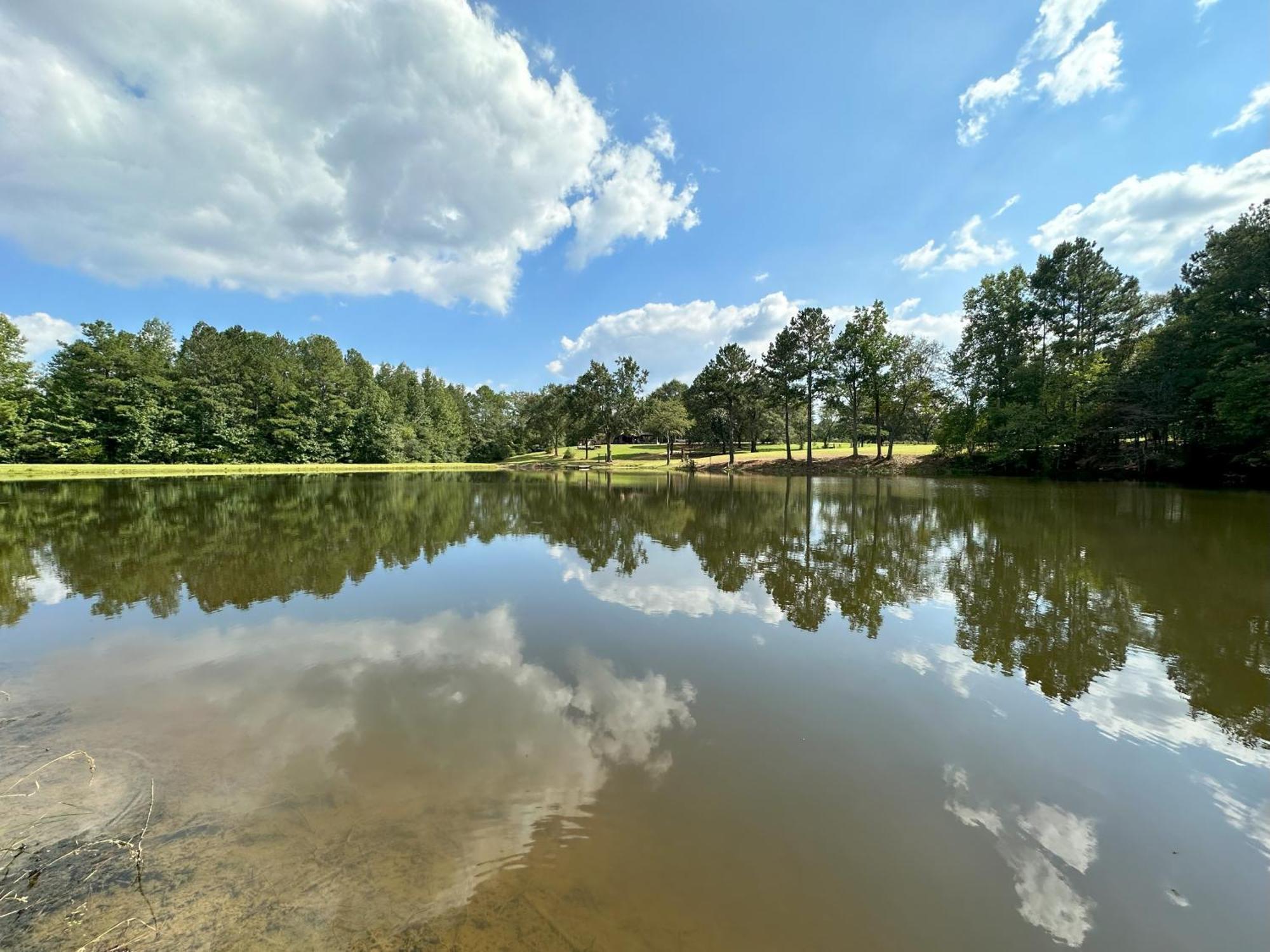 Refuge Ranch Retreat Log Cabin Lake 53+ Acres Locust Grove Bagian luar foto